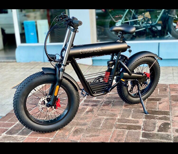 Bicicleta Eléctrica Fat Tire